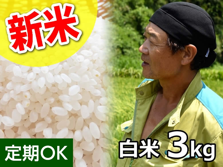 斉藤さんの澄んだ水で育てた コシヒカリ 白米3kg