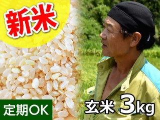 ★新米★斉藤さんの澄んだ水で育てた コシヒカリ 玄米3kg