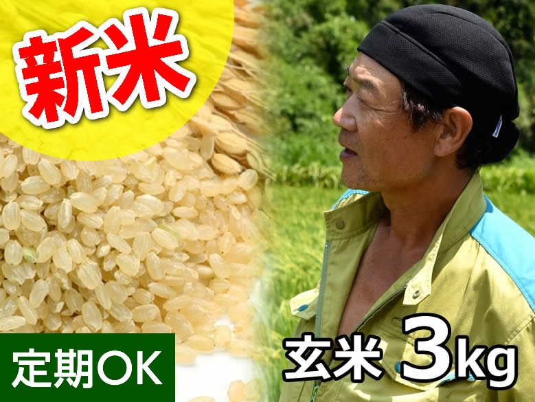 斉藤さんのもちもち食感 ミルキークイーン 玄米3kg
