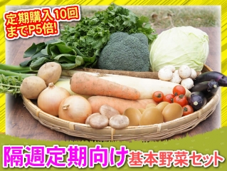【隔週購入向け】料理の定番・基本野菜セット