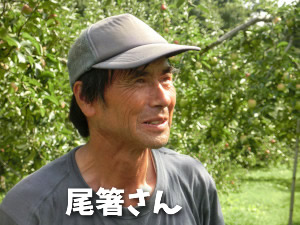尾箸さん