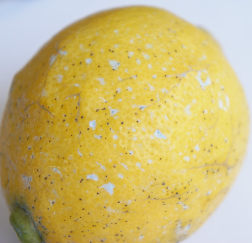レモンの白い部分