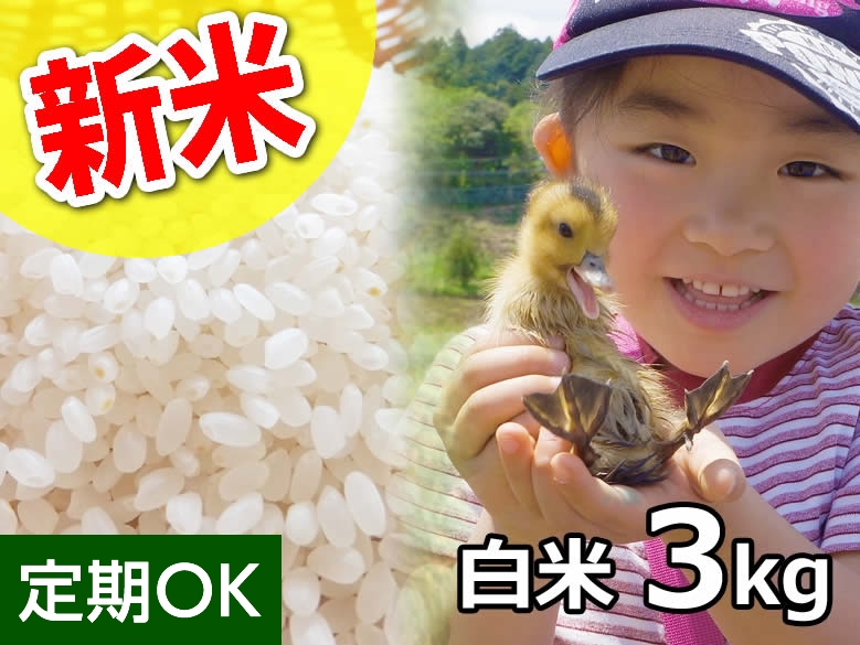 【新米】アイガモ農法で栽培した斉藤さんの無農薬 あいがも 白米3kg