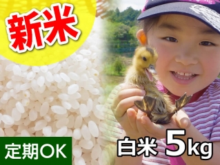 【新米】アイガモ農法で栽培した斉藤さんの無農薬 あいがも 白米5kg