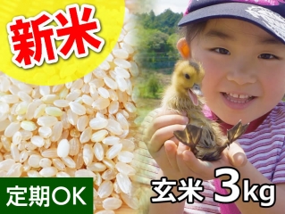 【新米】アイガモ農法で栽培した斉藤さんの無農薬 あいがも 玄米3kg