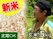 ★新米★斉藤さん 超減農薬！コシヒカリ 玄米5kg（一回発送お米２袋まで） 