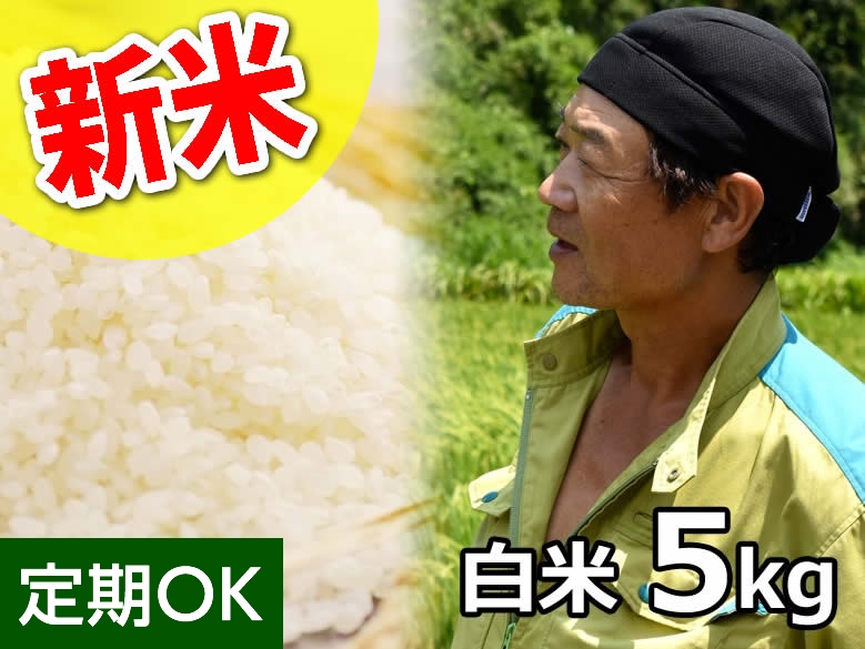 ★新米★斉藤さん 超減農薬！ミルキークイーン 白米5kg（一回発送お米２袋まで） 
