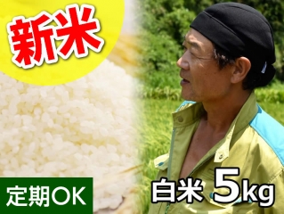 ★新米★斉藤さん 超減農薬！ミルキークイーン 白米5kg（一回発送お米２袋まで） 