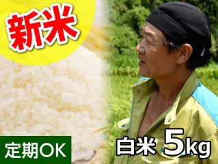 【新米】斉藤さんのもちもち食感 ミルキークイーン 白米5kg