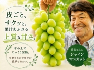 菅谷さんのぶどう シャインマスカット250g