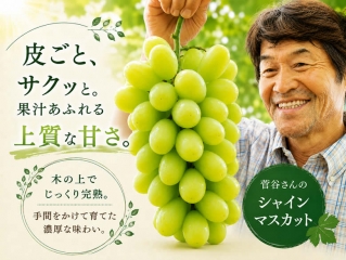 菅谷さんのぶどう シャインマスカット250g