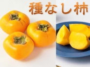 奈良・堀内果実園の柿『種なし柿』