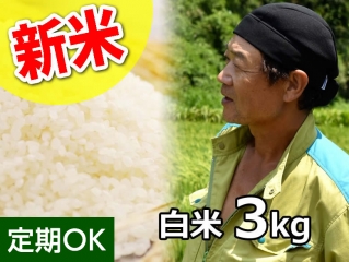【新米】斉藤さんのもちもち食感 ミルキークイーン 白米3kg