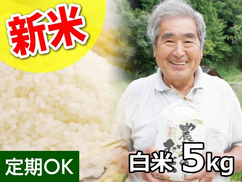 【新米】宮内さんの希少な多古米  コシヒカリ 白米5kg