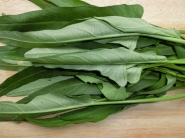 無農薬 おかげさま農場 空芯菜150g