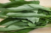 無農薬 おかげさま農場 空芯菜150g