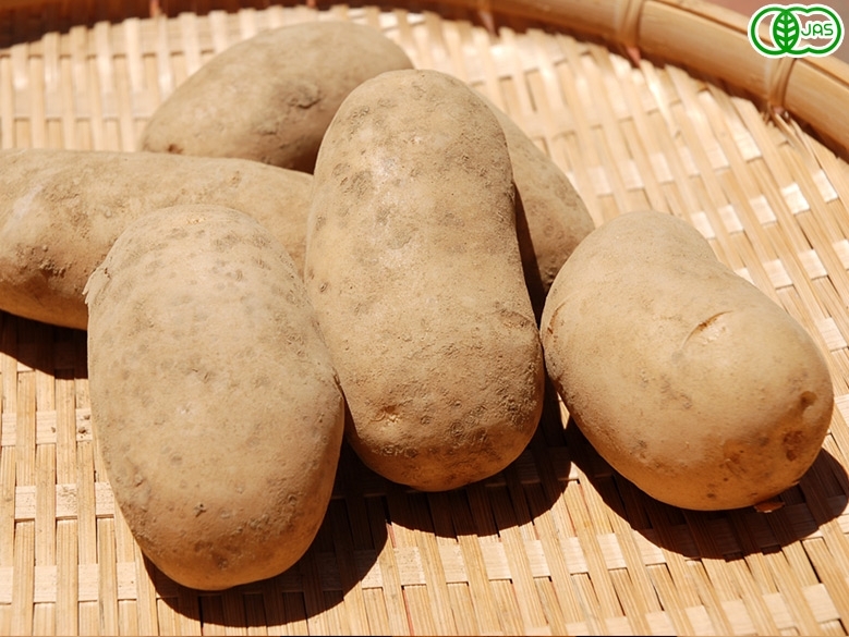 有機JAS 北海道産 じゃがいも　（メークイン）500g