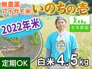 新★大橋さんの無農薬あいがも米『いのちの壱』(白米)4.5kg