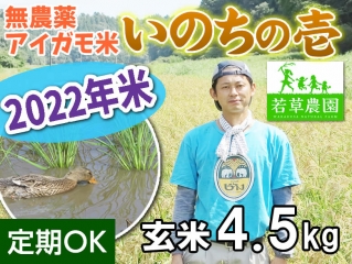 新★大橋さんの無農薬あいがも米『いのちの壱』(玄米)4.5kg