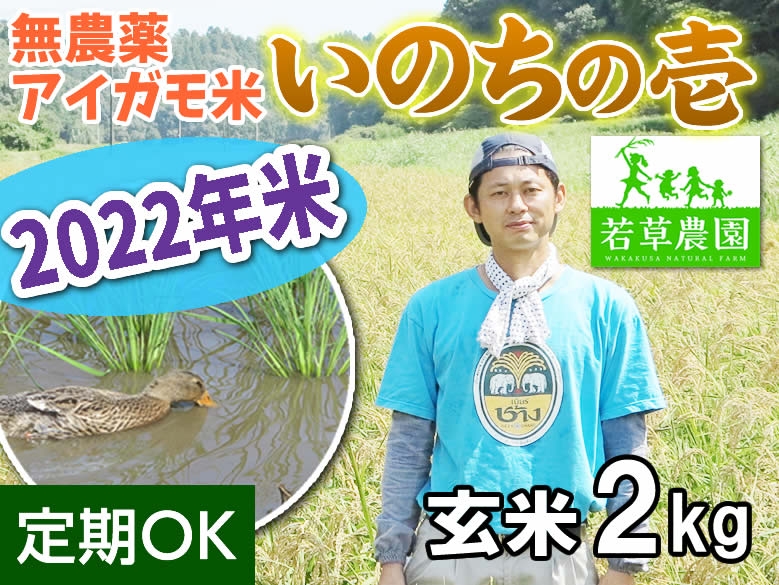 新★大橋さんの無農薬あいがも米『いのちの壱』(玄米)2kg