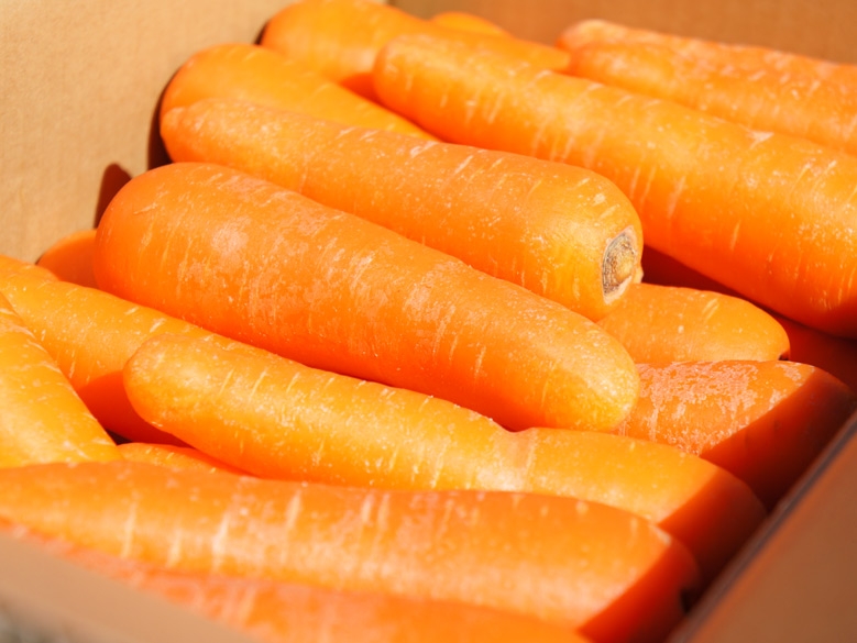 千葉県産 無農薬 洗いにんじん5kg