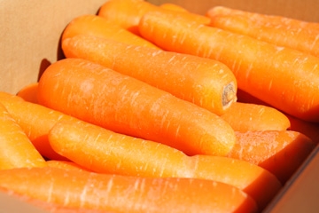 千葉県産 無農薬 洗いにんじん5kg