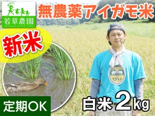 大橋さんの無農薬あいがも米コシヒカリ(白米)2kg