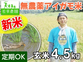 大橋さんの無農薬あいがも米コシヒカリ(玄米)4.5kg