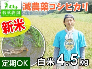 大橋さんの減農薬コシヒカリ(白米)4.5kg