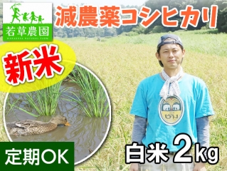 大橋さんの減農薬コシヒカリ(白米)2kg