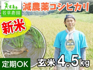 大橋さんの減農薬コシヒカリ(玄米)4.5kg