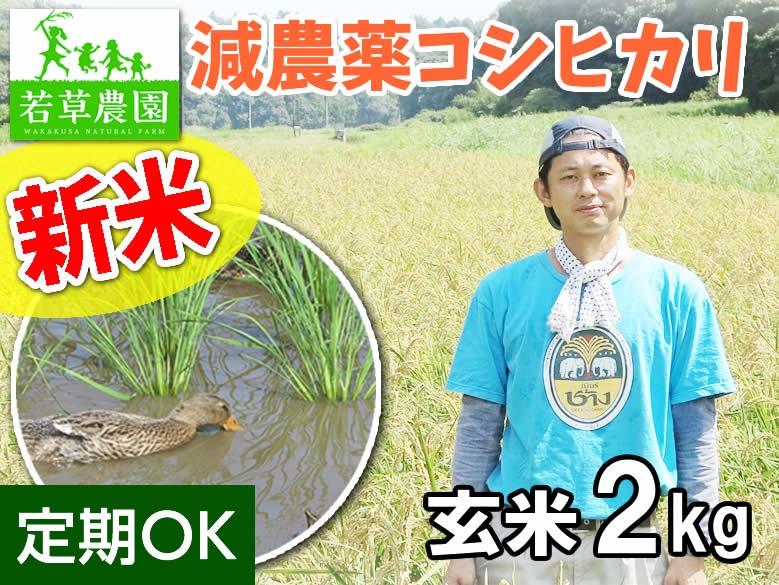 大橋さんの減農薬コシヒカリ(玄米)2kg
