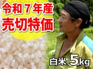 ★R7年産売切特価★斉藤さん 超減農薬！コシヒカリ 白米5kg（一回発送お米２袋まで）