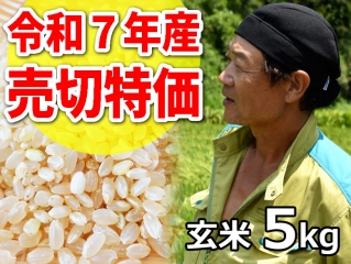 ★R7年産売切特価★斉藤さん 超減農薬！コシヒカリ 玄米5kg（一回発送お米２袋まで）