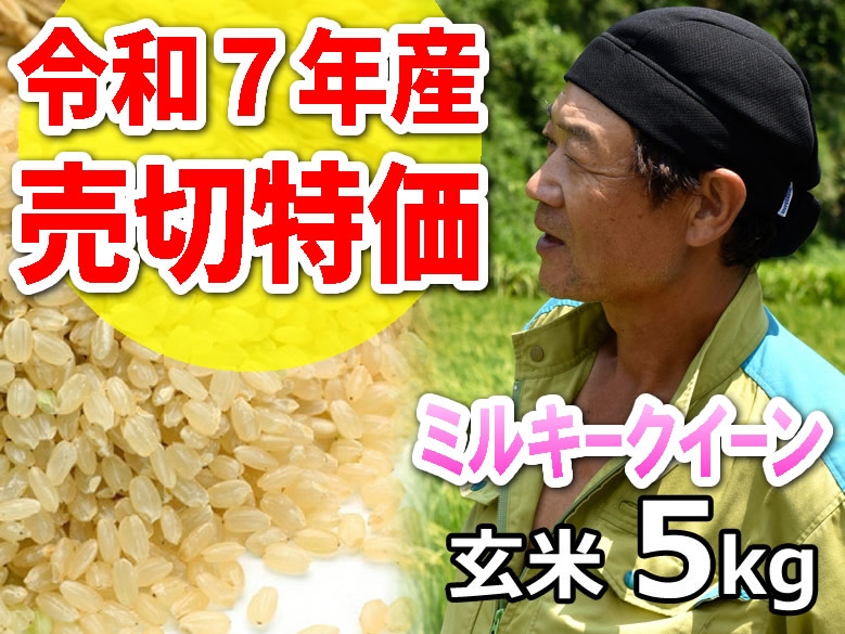 ★R7年産売切特価★斉藤さん 超減農薬！ミルキークイーン 玄米5kg（一回発送お米２袋まで）