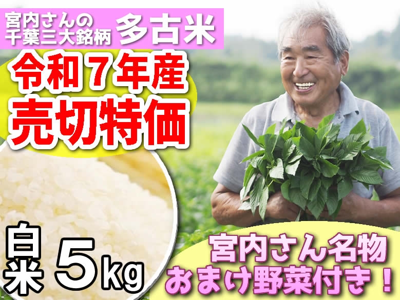 ★R7年産売切特価★宮内さんの多古米&オマケ野菜　白米5kg