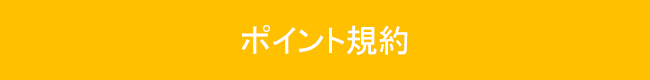 ポイント規約ボタン