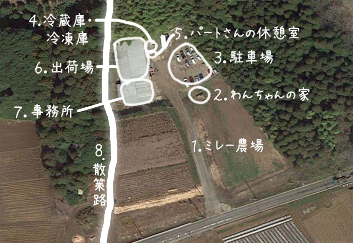 会社周辺航空写真