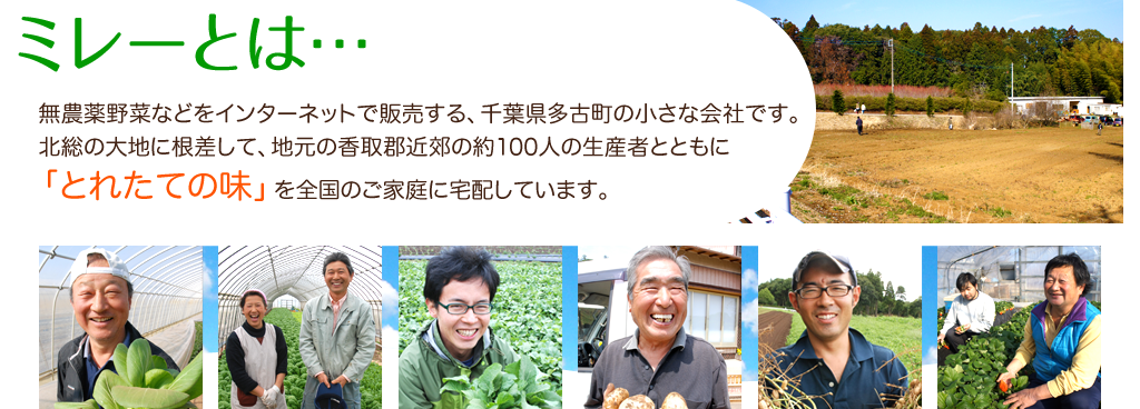 ミレーとは、無農薬野菜などをインターネットで販売する千葉県多古町の小さな会社です。<br /> 北総の大地に根差して、地元の香取郡近郊の約１00人の生産者とともに<br /> 「とれたての味」を全国のご家庭に宅配しています。