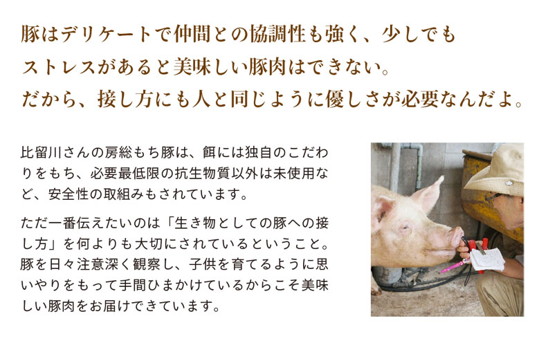 豚はデリケートで仲間との協調性も強く、少しでもストレスがあると美味しい豚肉はできない。だから、接し方にも人と同じように優しさが必要なんだよ。比留川さんの房総もち豚は、餌には独自のこだわりをもち、必要最低限の抗生物質以外は未使用など、安全性の取組みもされています。ただ一番伝えたいのは「生き物としての豚への接し方」を何よりも大切にされているということ。豚を日々注意深く観察し、子供を育てるように思いやりをもって手間ひまかけているからこそ美味しい豚肉をお届けできています。