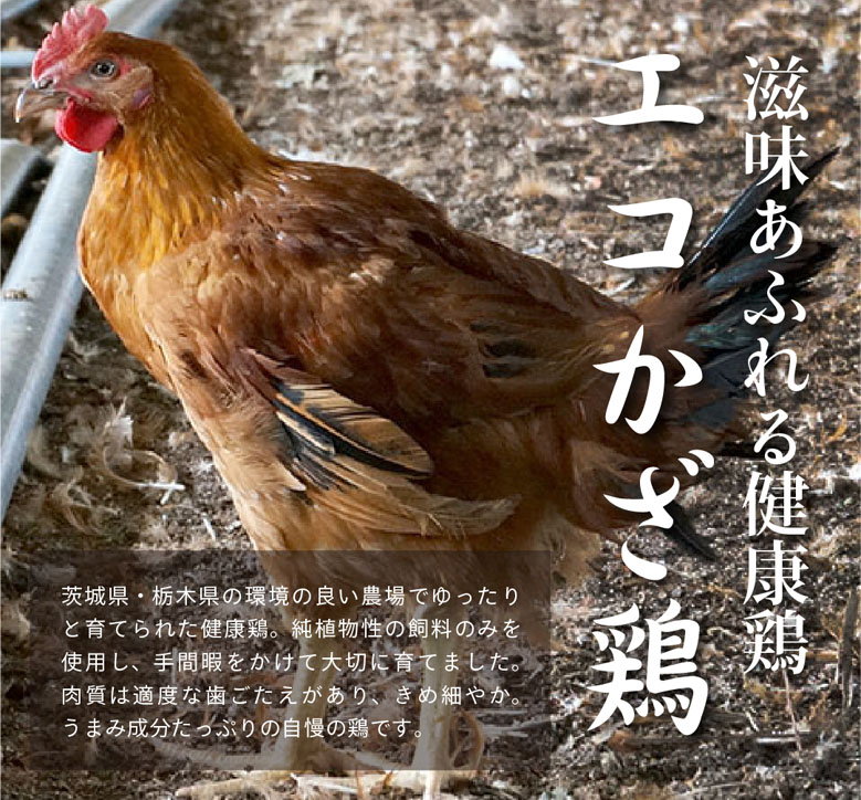 滋味あふれる健康鶏、エコかざ鶏。茨城県・栃木県の環境の良い農場でゆったりと育てられた健康鶏。純植物性の飼料のみを使用し、手間暇をかけて大切に育てました。肉質は適度な歯ごたえがあり、きめ細やか。うまみ成分たっぷりの自慢の鶏です。