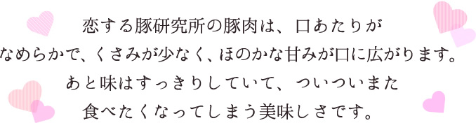 恋する豚研究所の豚肉は、口あたりがなめらかで、くさみが少なく、ほのかな甘みが口に広がります。また食べたくなってしまう美味しさです