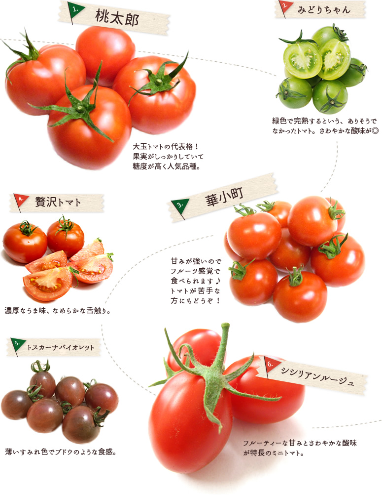 林さんのトマト