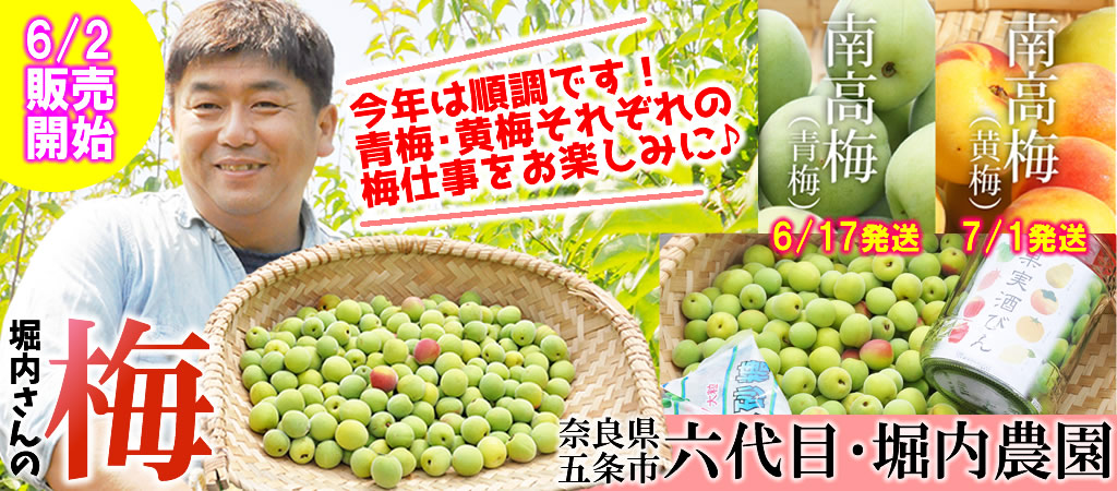 堀内さんの梅 【食材宅配】有機野菜 無農薬野菜 無添加食品 定期宅配