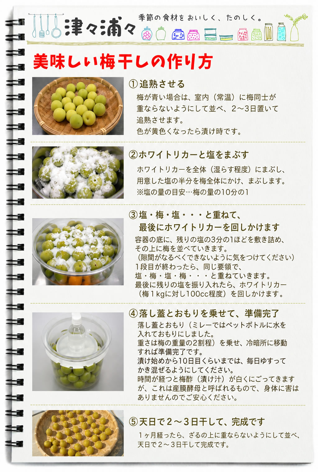 津々浦々 梅干しを作ろう