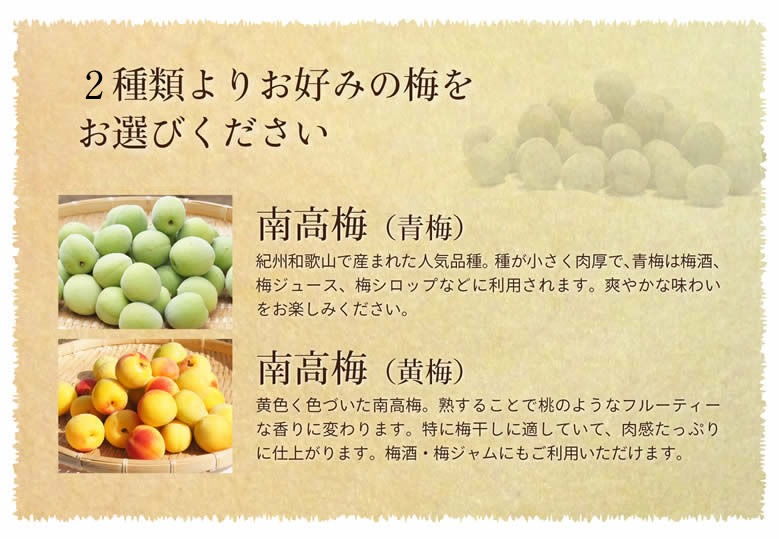 2種よりお選びください 南高梅 青梅 黄梅