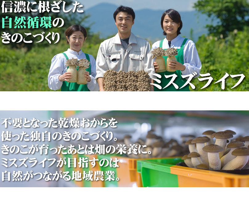 信濃に根ざした自然循環のきのこづくりミスズライフ
