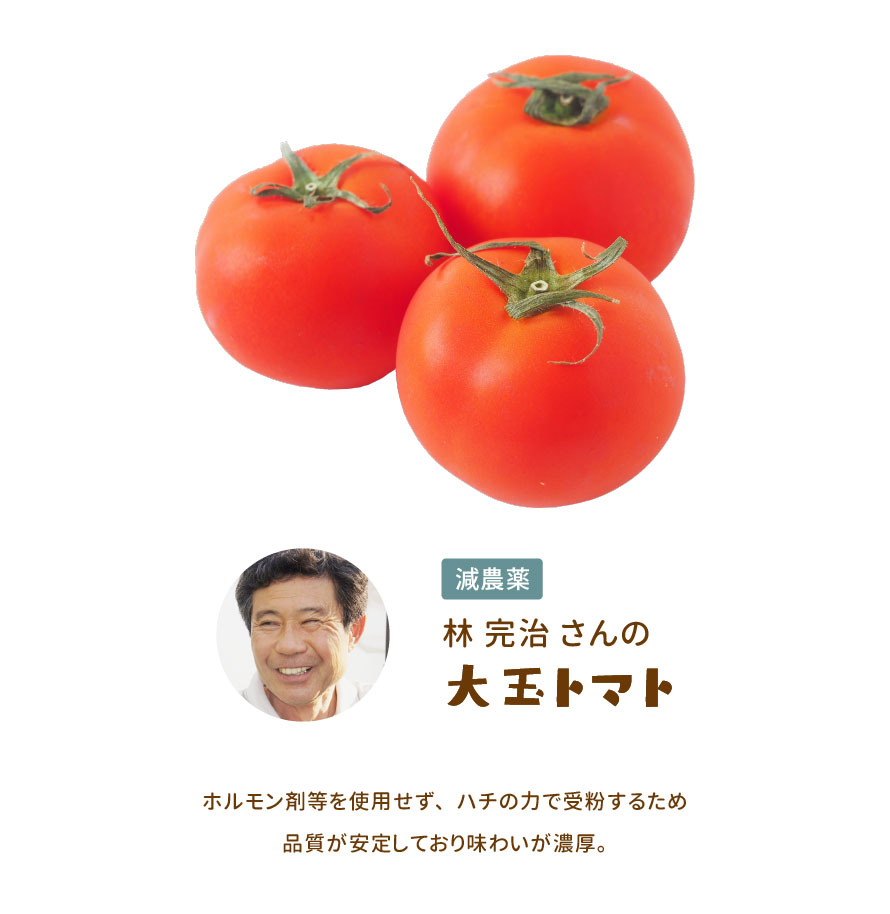 大玉トマト。ホルモン剤などを使用せず、ハチの力で受粉するため、品質が安定しており味わいが濃厚。