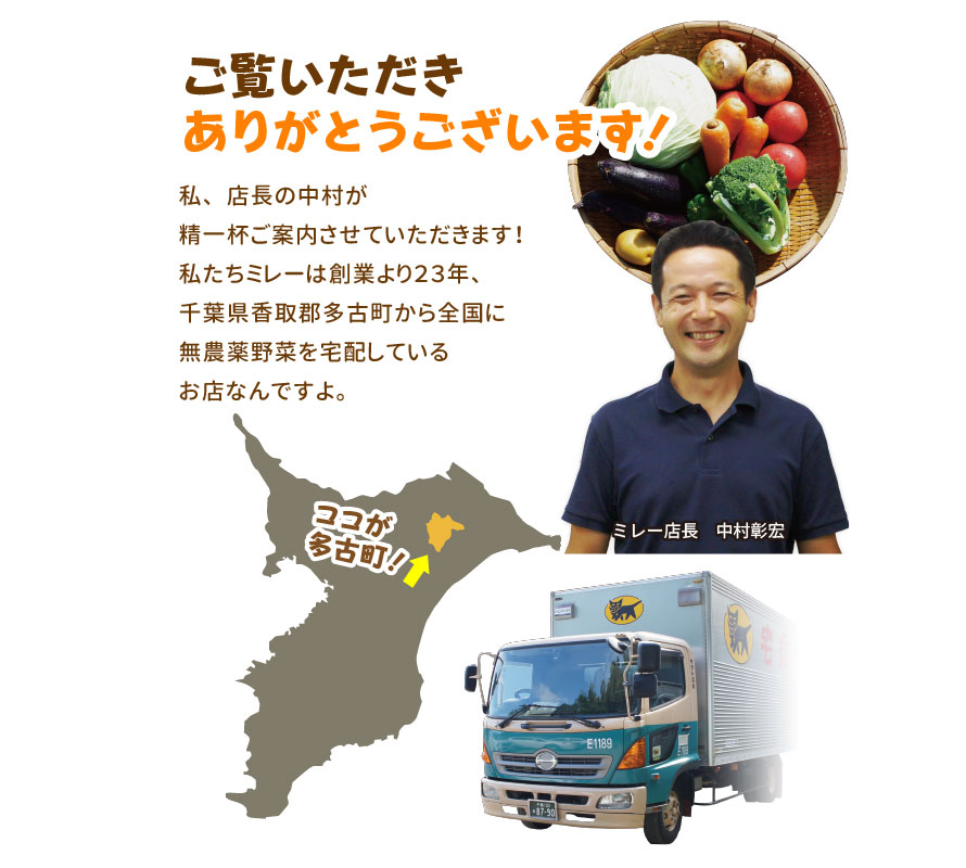 ご覧いただきありがとうございます。私、店長の中村が精一杯ご案内させていただきます!私たちミレーは創業より２３年、千葉県香取郡多古町から全国に無農薬野菜を宅配しているお店なんですよ。