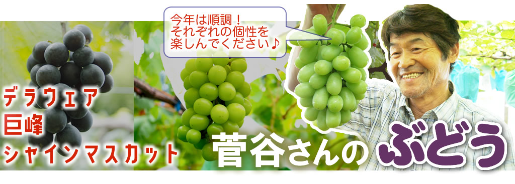菅谷さんのぶどう
